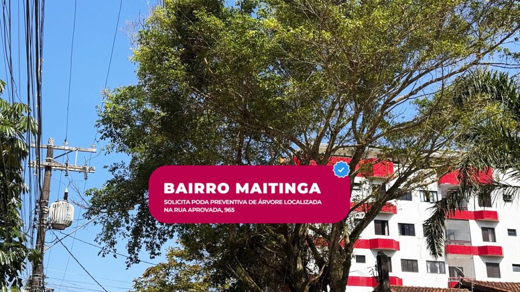 Slide8 (2)